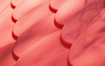 Aston Somerville plastic roof costs